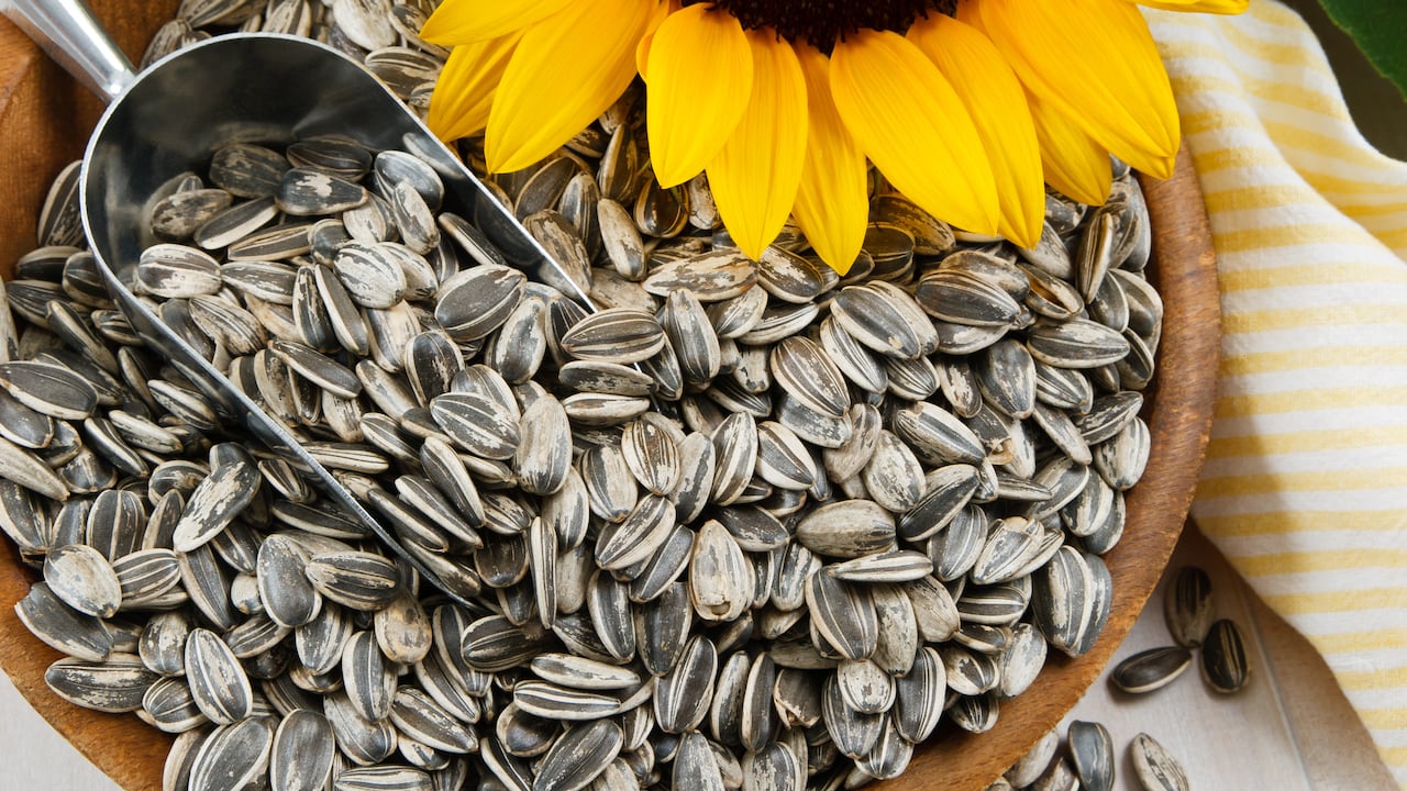 Semillas de girasol.