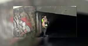 Perro rescatado caño Bogotá