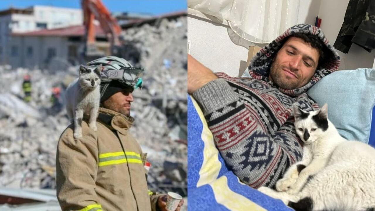 El gato fue rescatado por un ciclista profesional. Foto: Instagram @jcaks_1