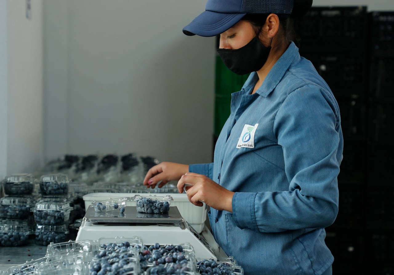 Trabajadores, empleados