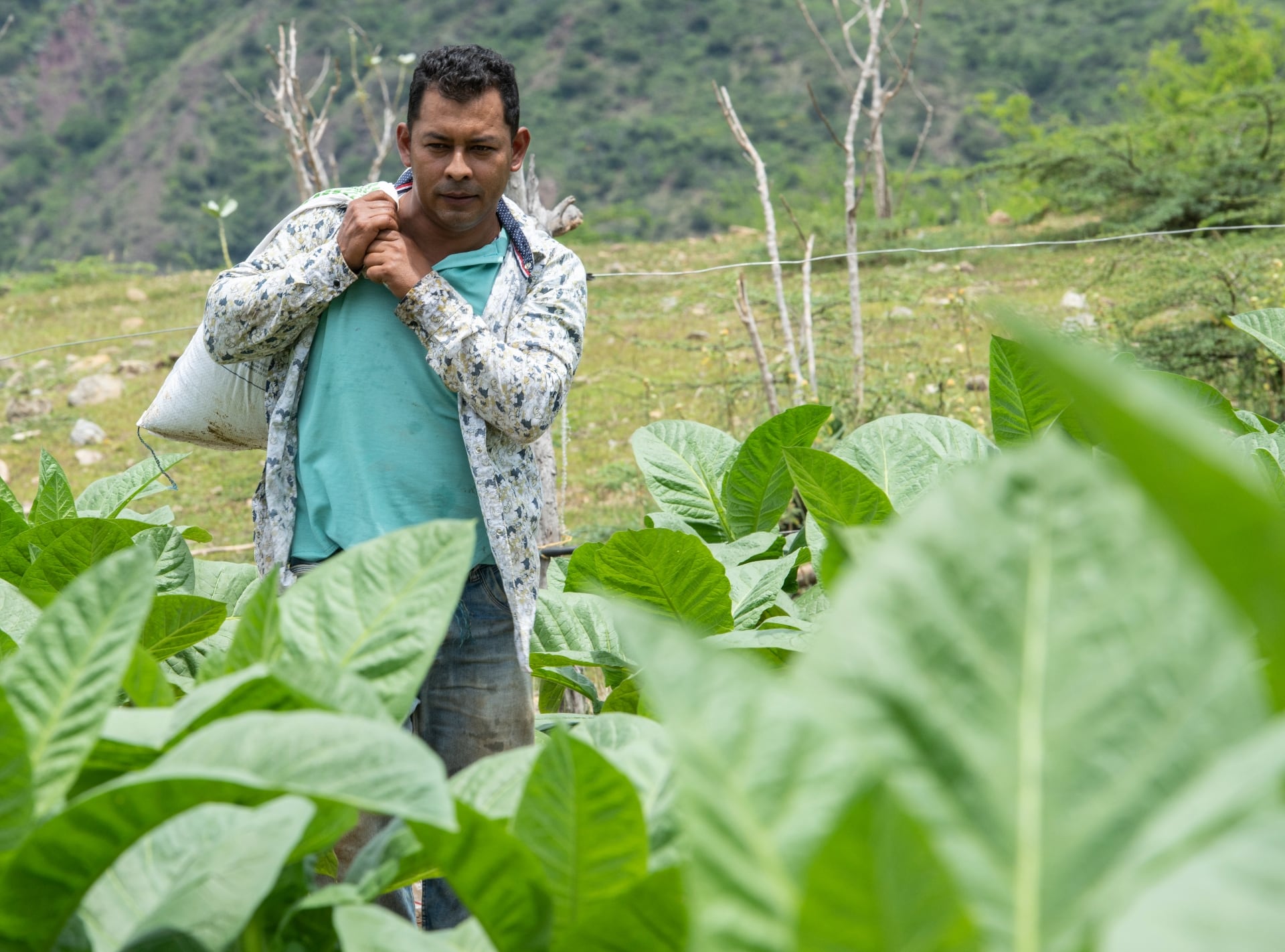 Él es Diego, uno de los protagonistas de 'El Cubo', tercera temporada.