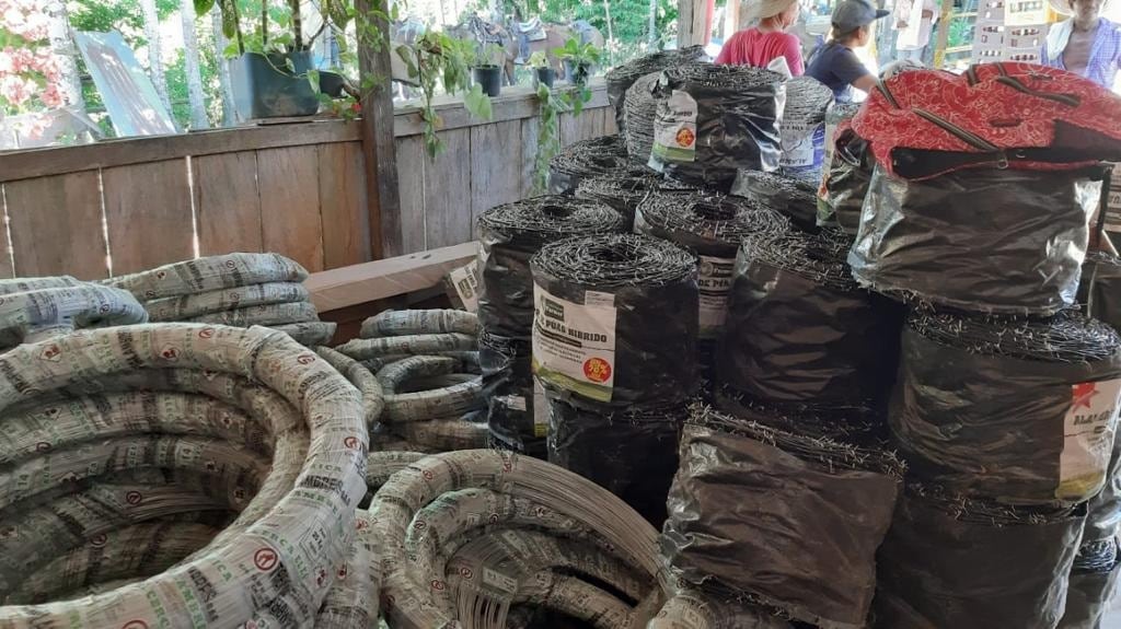 proyecto silvopastoril en Yondó