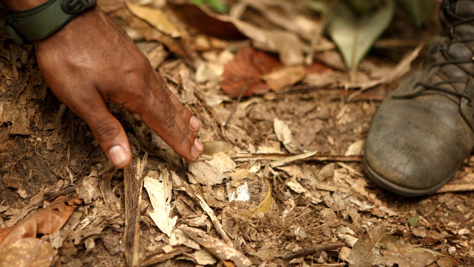 Armada de Colombia y Ejército Nacional ubicaron y neutralizaron explosivos artesanales de alto poder, que pretendían ser usados para atentar contra la comunidad de la zona y los uniformados (Imagen de referencia)