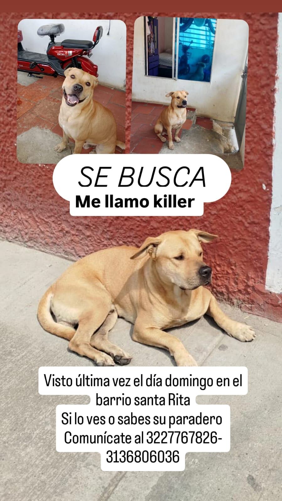 Killes busca a su familia.