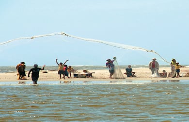 En vista de que el caudal de varios ríos se queda en  el camino para irrigar más de 30.000 hectáreas de banano o palma, los cauces se están secando o no están llevando suficiente agua a la ciénaga. Esta en  su desembocadura en la Boca de la Barra ya no tiene la suficiente fuerza para salir  al mar. Ahora hay una playa que cortó el intercambio de agua dulce y salada, lo que está afectando la vida en el estuario.