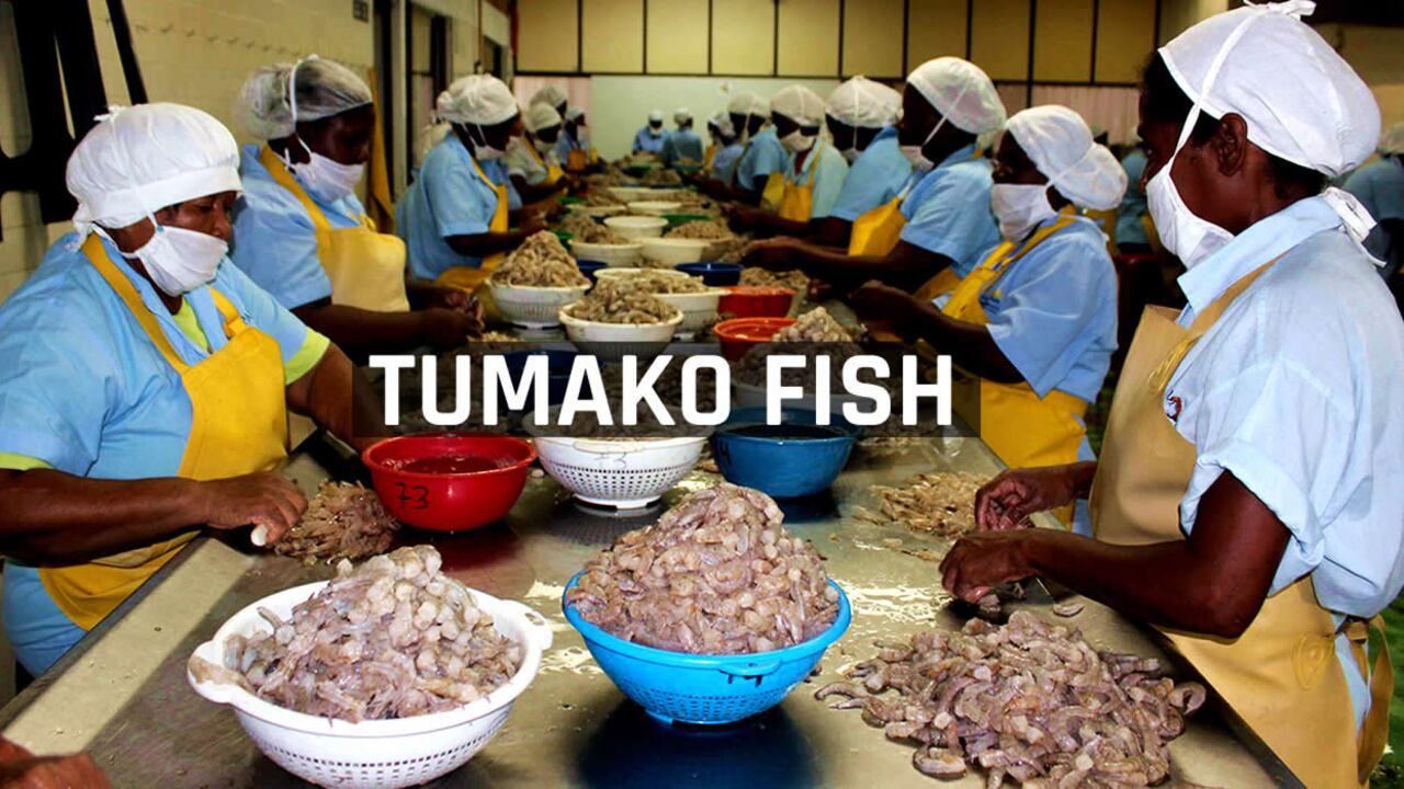 Son 145 madres cabezas de hogar quienes integran este proyecto.