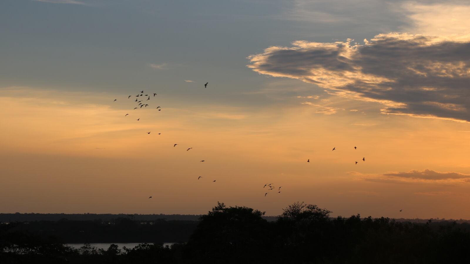 En Leticia, el transporte aéreo de carga sería muy costoso.
(Foto ilustrativa). 