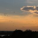 El campanario de la Parroquia Nuestra Señora de la Paz de Leticia es el único sitio donde se puede apreciar la ciudad desde las alturas.