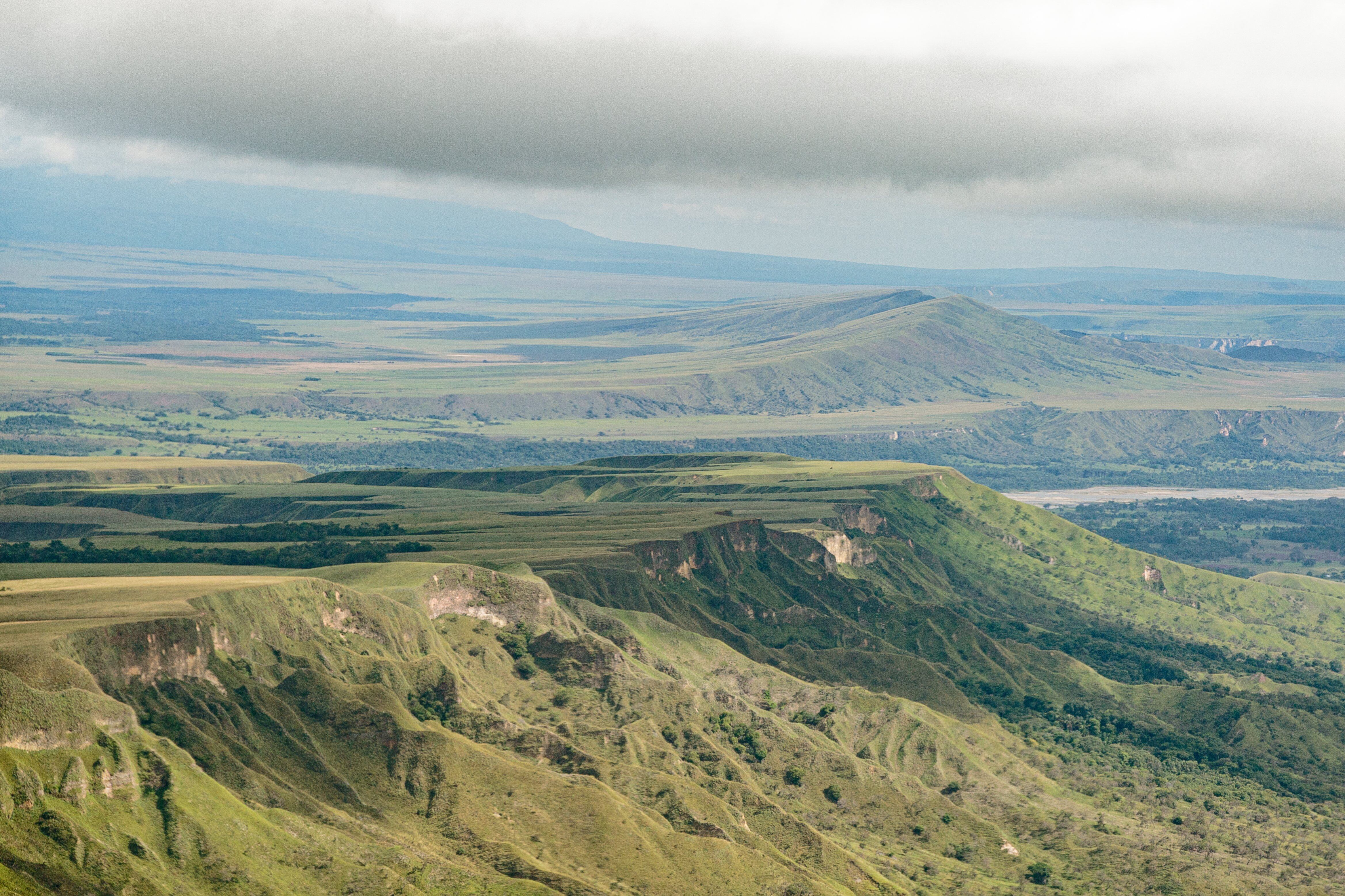Esta región de Colombia cuenta con una parte importante de toda la biodiversidad del país.