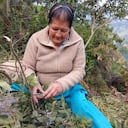 Blanca Pardo, de 72 años, asesinada en Nariño.