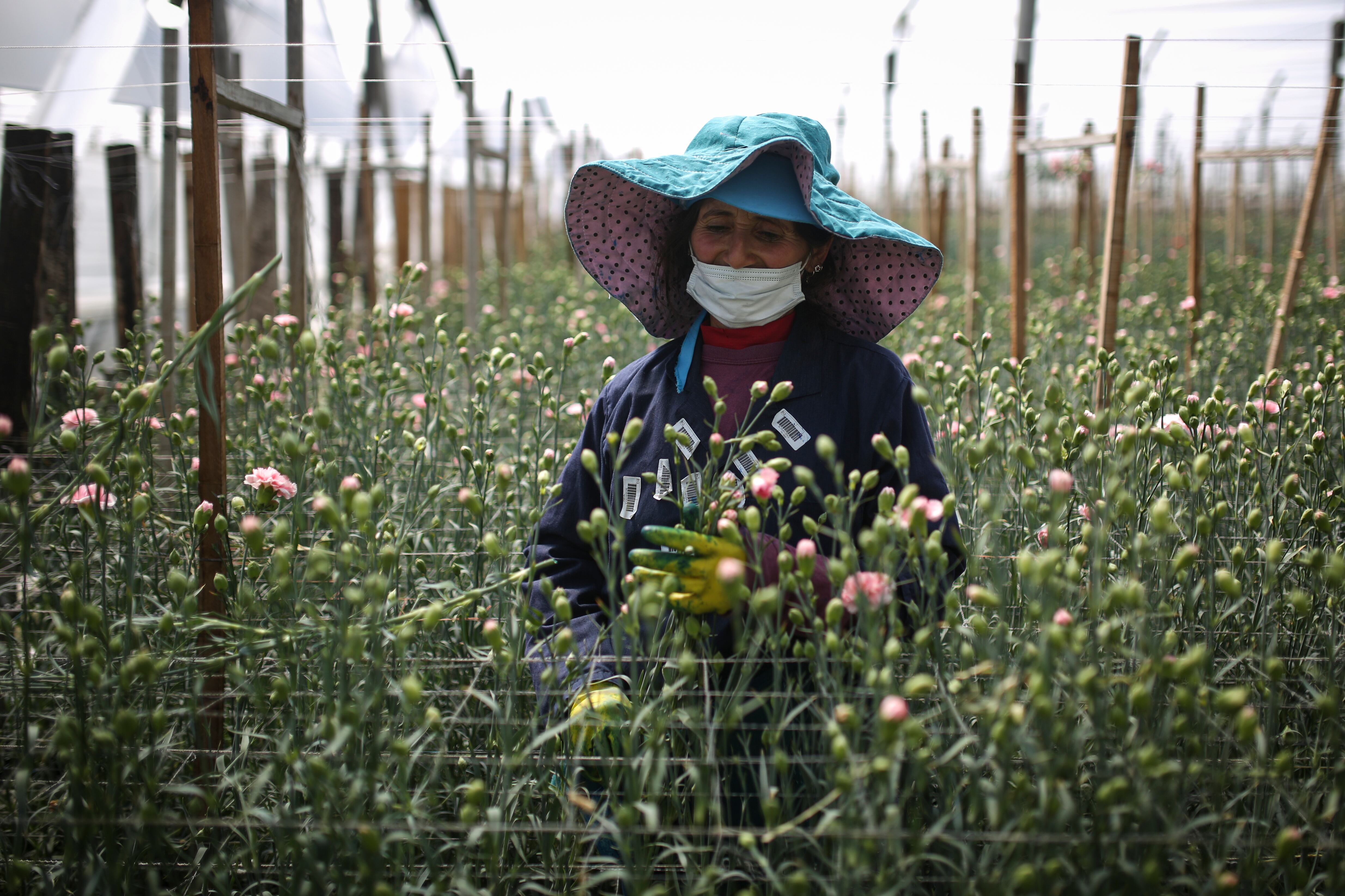 Flores, el regalo tradicional en el día de la madre