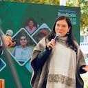 Myriam Carolina Martínez, directora de la Agencia Nacional de Tierras