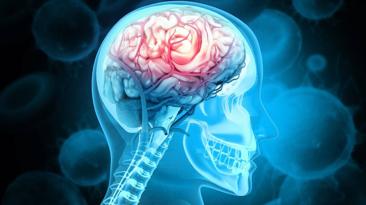 Vitaminas ayudan a potenciar la salud del cerebro.