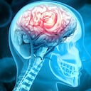 Vitaminas ayudan a potenciar la salud del cerebro.