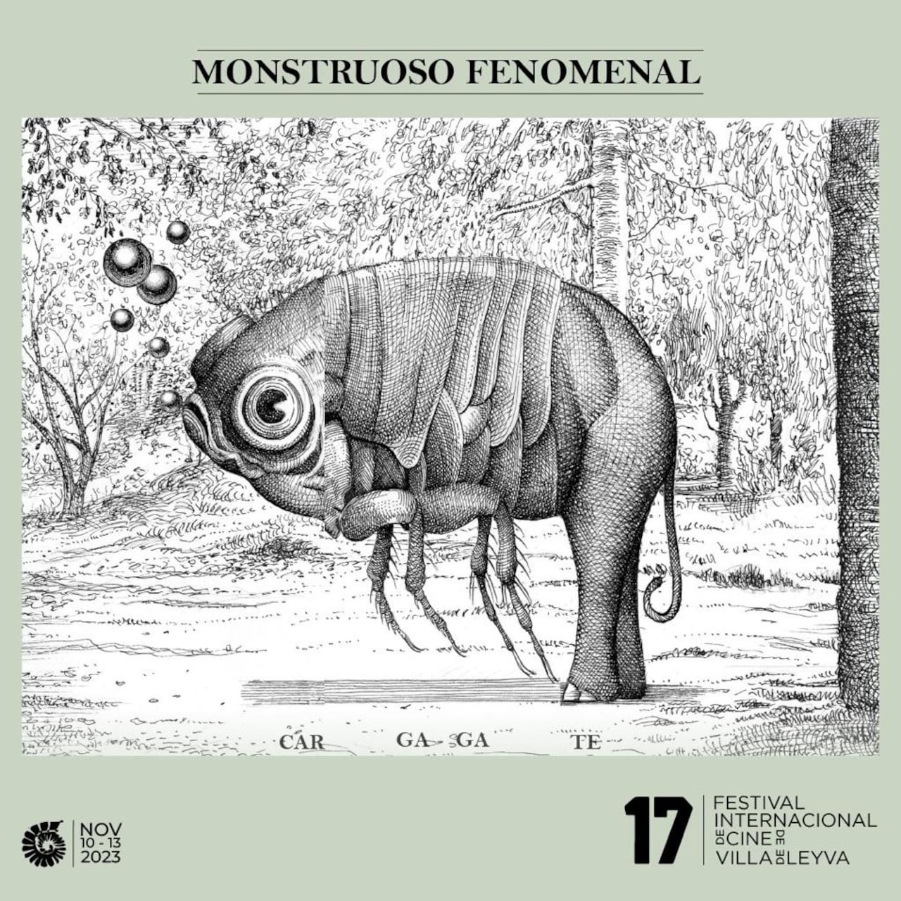 Festival Internacional de Cine de Villa de Leyva