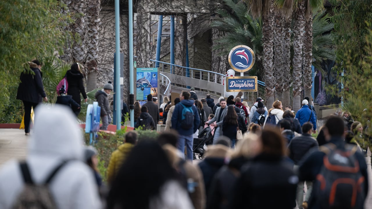 Parque marino Marineland Antibes de Francia cierra sus puertas: era el más grande de Europa: conozca los motivos de la decisión