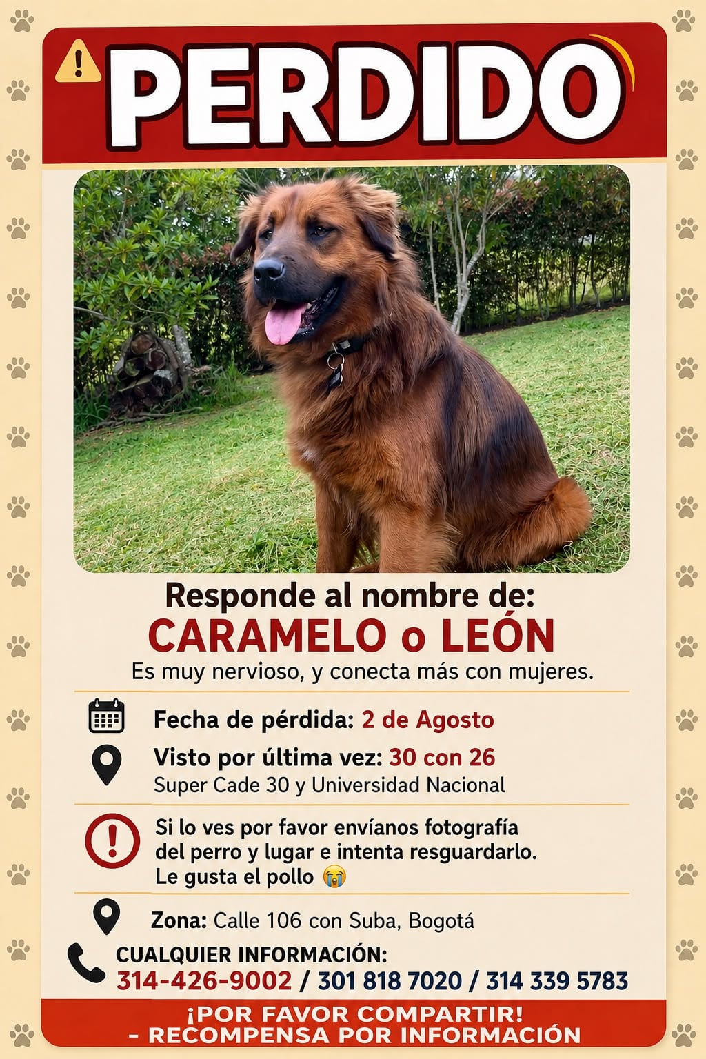 Verificar los datos de contacto por si lo ve. Por favor, ayudar a difundir.