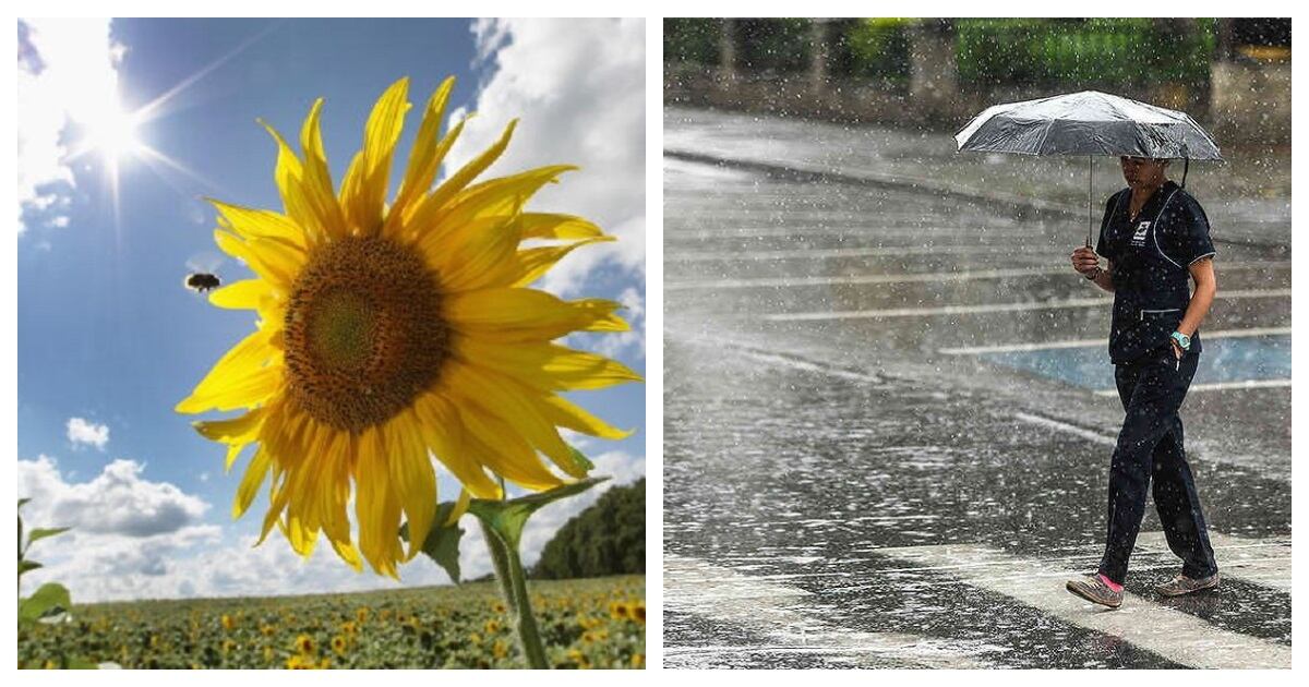 Fenómeno de El NIño y La Niña pesan en la temperatura global