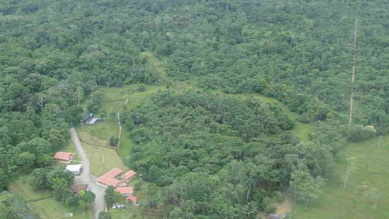 Entidades públicas y privadas (petroleras) quieren recuperar la biodiversidad del Putumayo. Foto: Cortesía Andi