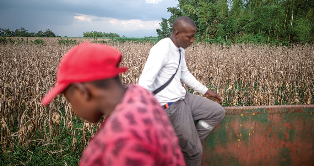 Las invasiones a las tierras son recurrentes. 