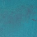 La Corporación Carolina trabaja con expertos para alejar a los tiburones de la costa en San Andrés. Foto: https://coralina.gov.co/.