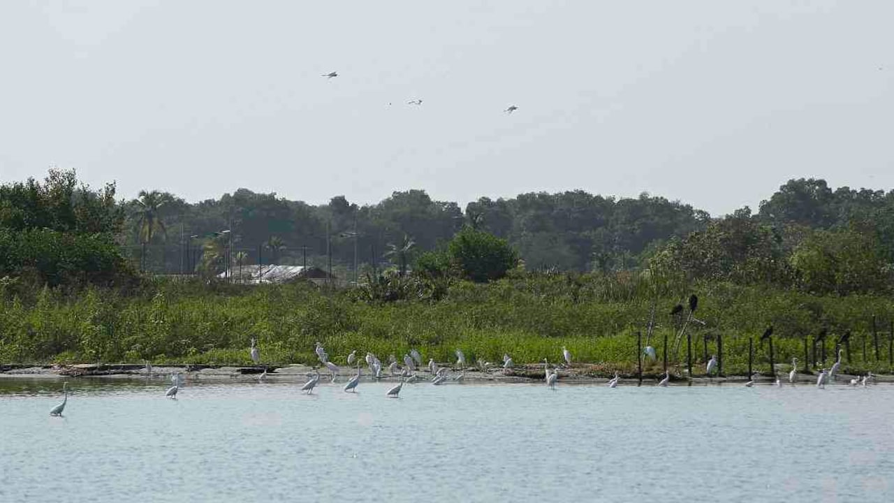 La desembocadura del río Aracataca está llena de sedimento. Foto: Guillermo Torres/Semana