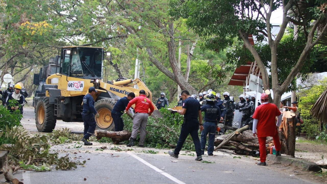 Los invasores trataron de impedir el paso de la fuerza pública poniendo árboles talados en la vía que conduce al terreno.