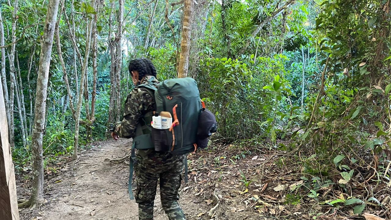 La periodista y Avendaño también hablaron de alias mordisco.