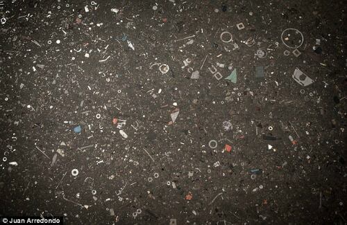 Foto: cortesía Juan Arredondo / DailyMail.