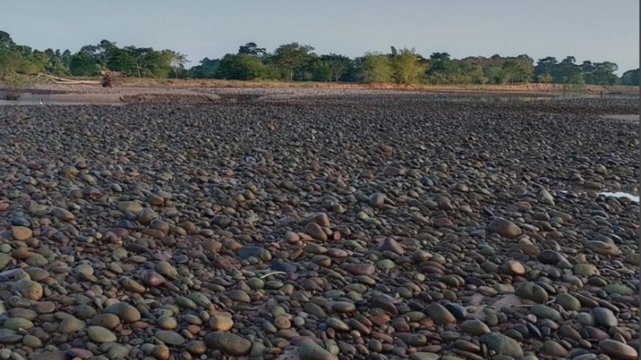 Denuncian mortandad de peces en el río Sogamoso. (Imagen de referencia).