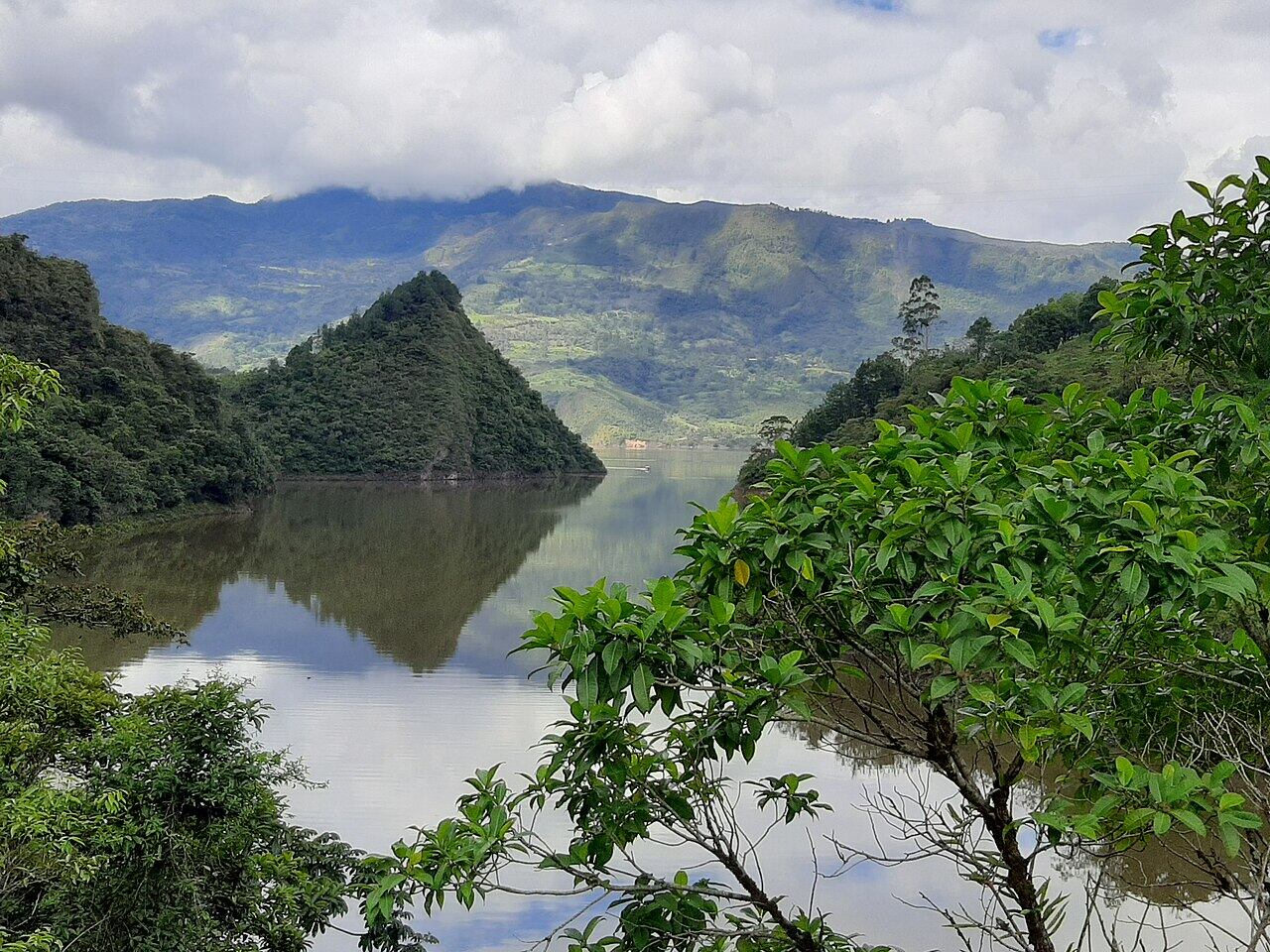 El Valle de Tenza goza de la presencia de  árboles como el arrayán, cedro, chicalá, laurel de cera, roble, corono, espino, mano de oso, árbol loco y una planta muy especial, la palma helecho.