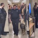 Pastor Alemán fue detectado con cáncer