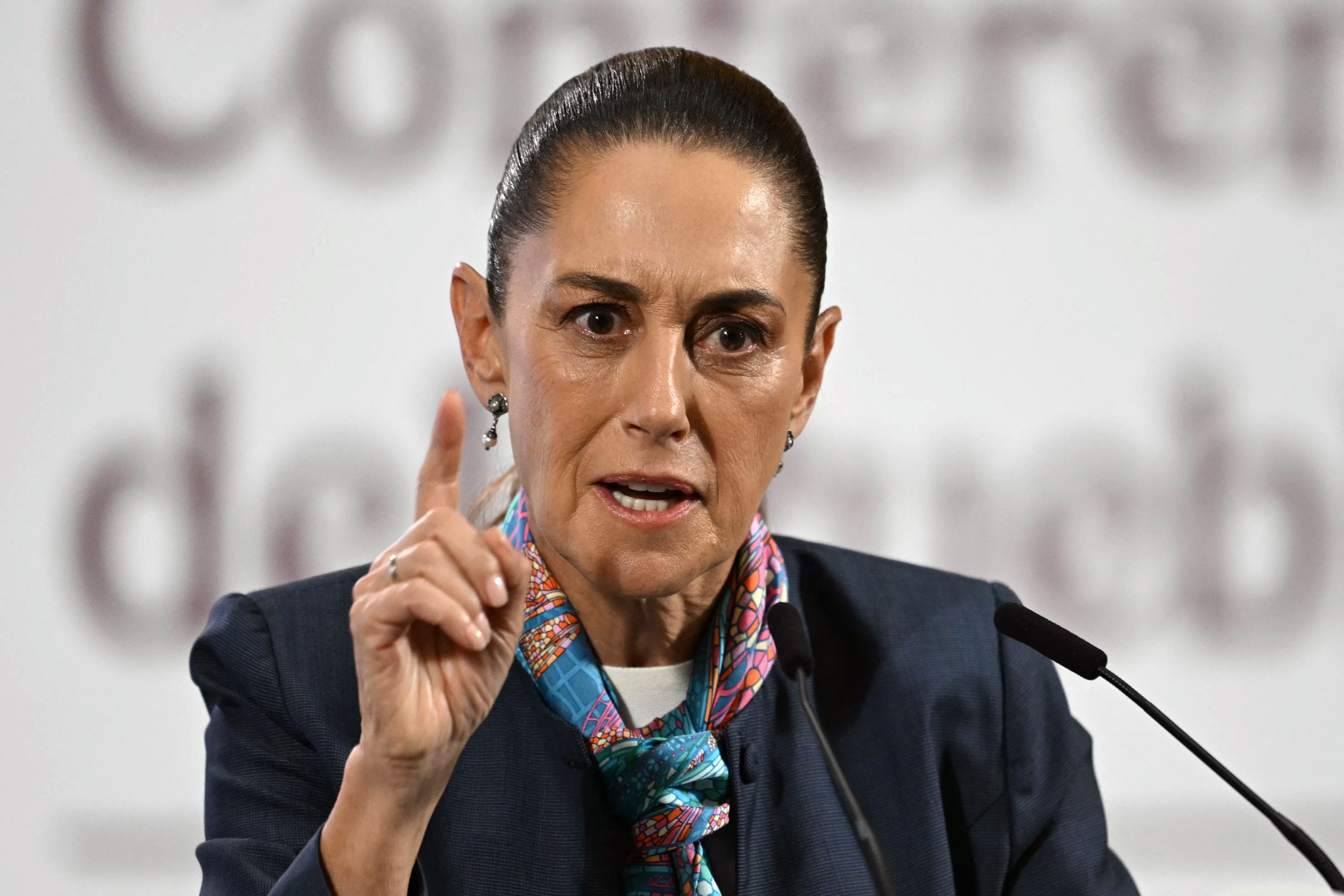 Proveniente de la academia, Claudia Sheinbaum se convirtió en la primera mujer en llegar a la Presidencia de México en 200 años.