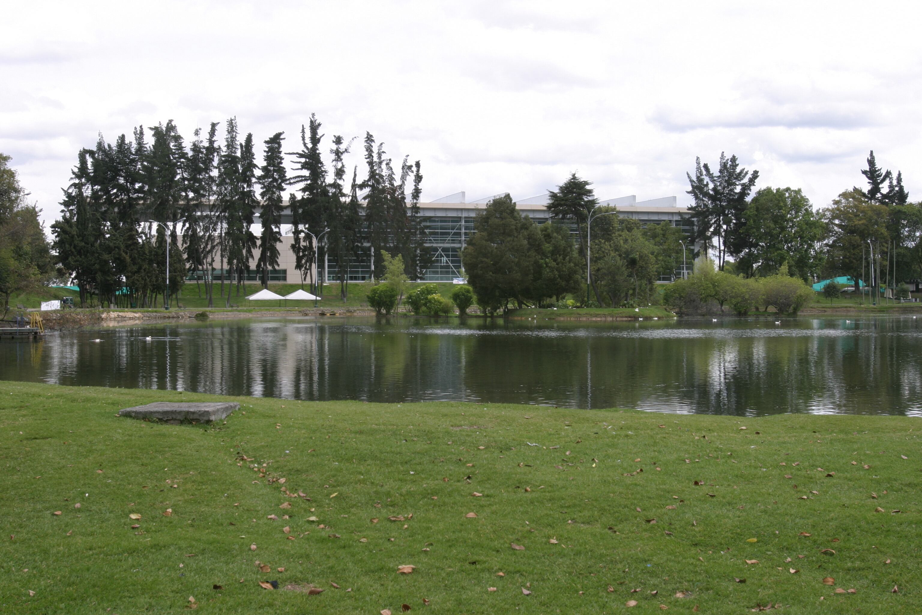 En un año que simboliza movimiento, energía y renovación, esta festividad se presenta como una invitación abierta a avanzar juntos hacia un futuro con mayor conciencia, respeto y prosperidad compartida.