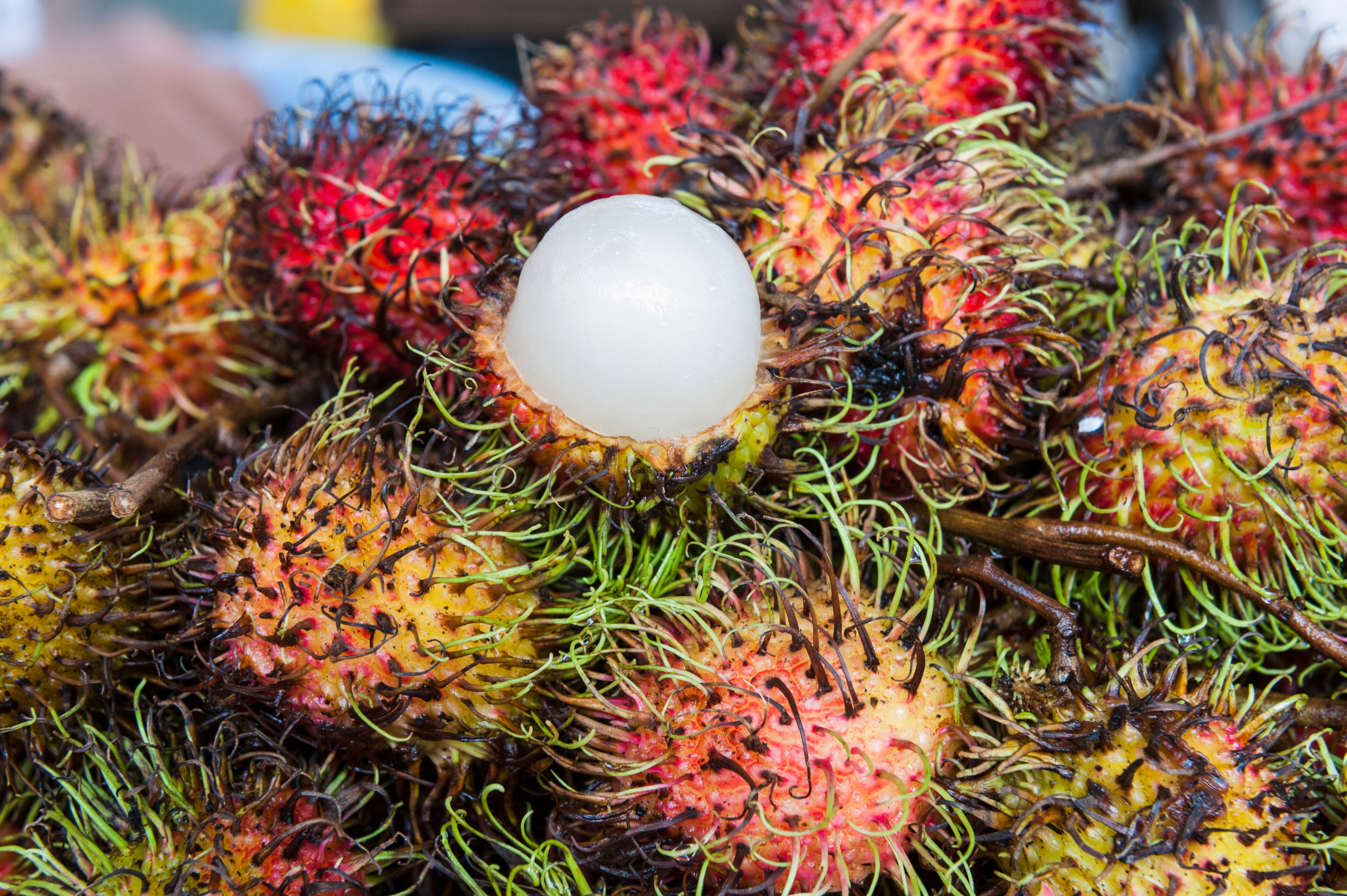 El lichi es una fruta que contiene importantes propiedades y beneficios para la salud