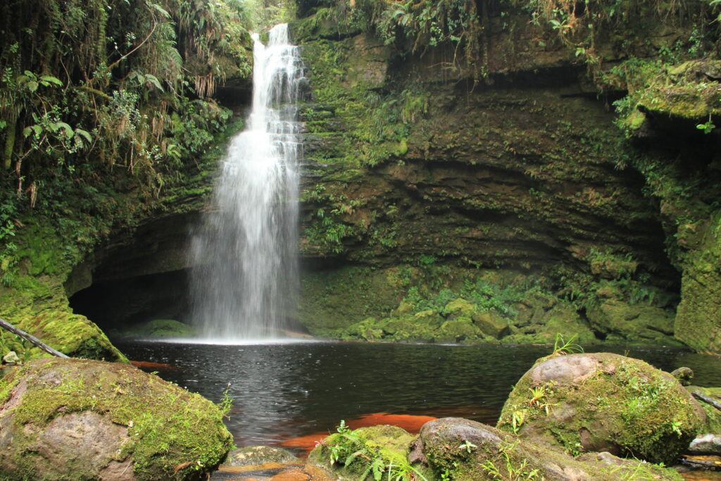 Cueva de Los Guácharos
