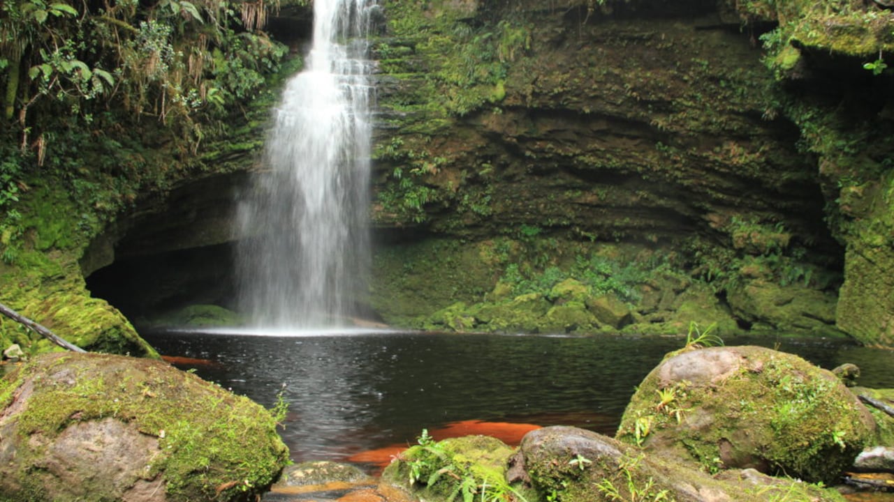 El Parque Nacional Natural Cueva de los Guácharos es un destino natural ubicado al sur de Colombia.