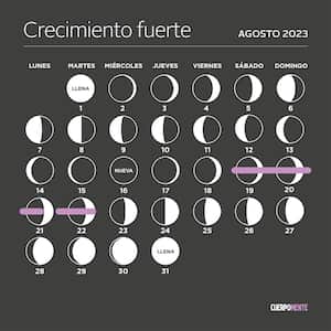 Estos son los días recomendados para cortarse el cabello según la luna en agosto.