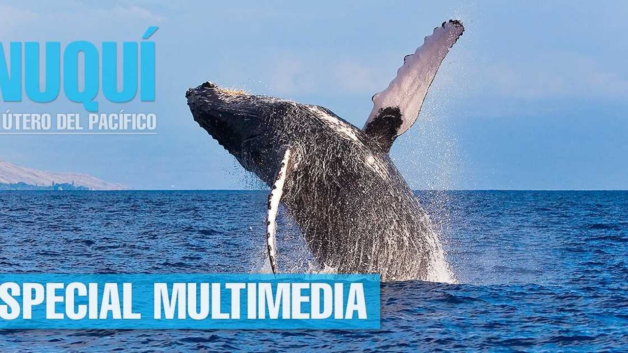 Nuquí, útero del Pacífico