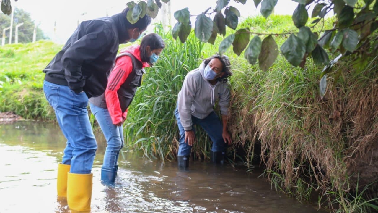 Monitoreo en búsqueda del cangrejo rojo en Lago de Tota