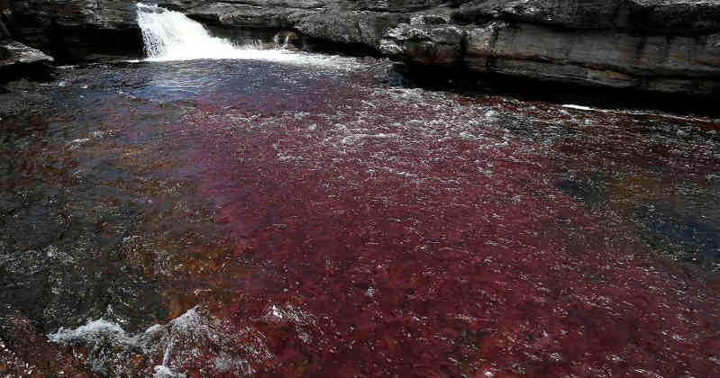En el 2015 fueron 13.800 turistas nacionales y 1800 extranjeros. Foto: Guillermo Torres / SEMANA