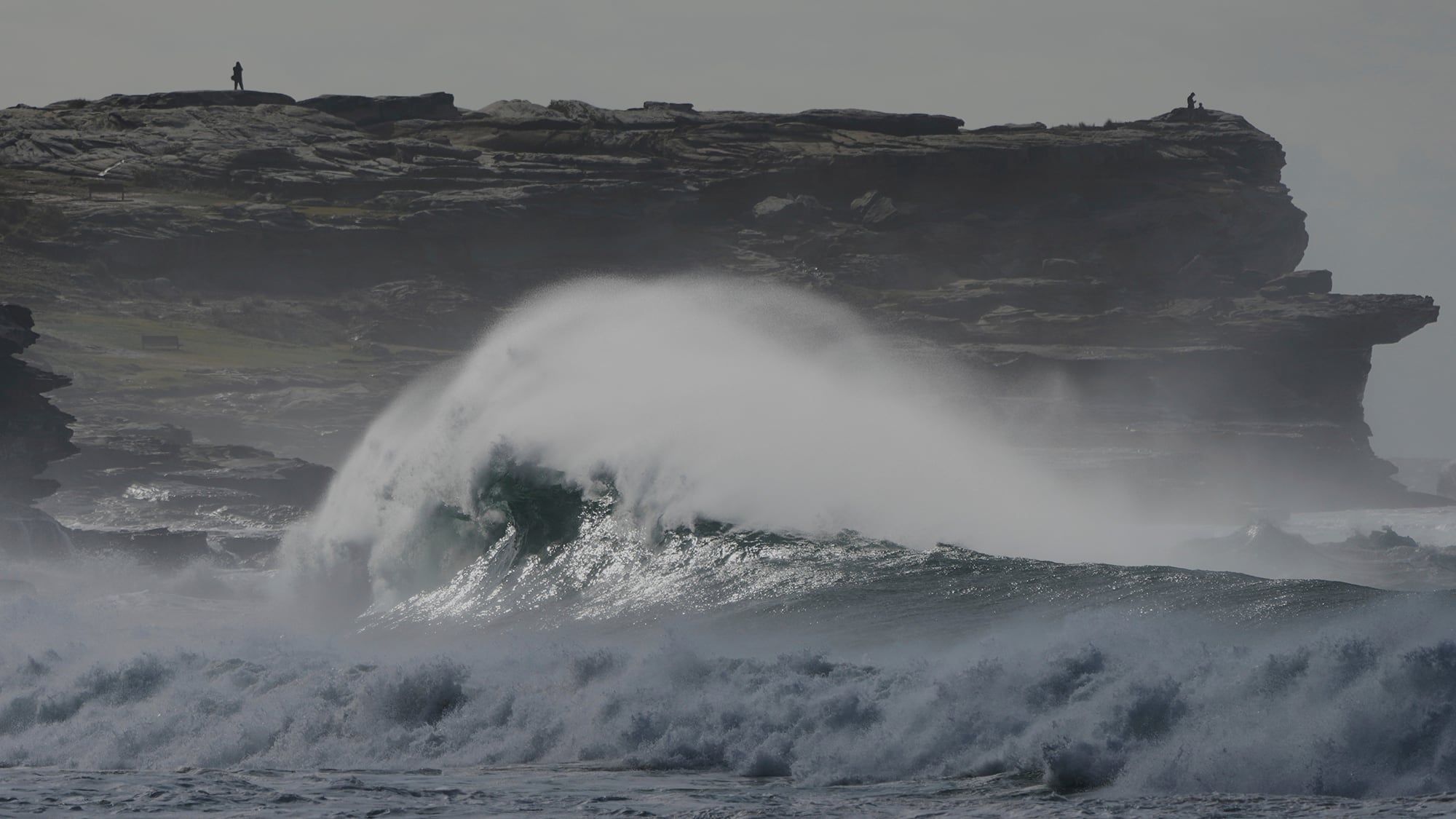 Fotos de la semana 4 julio