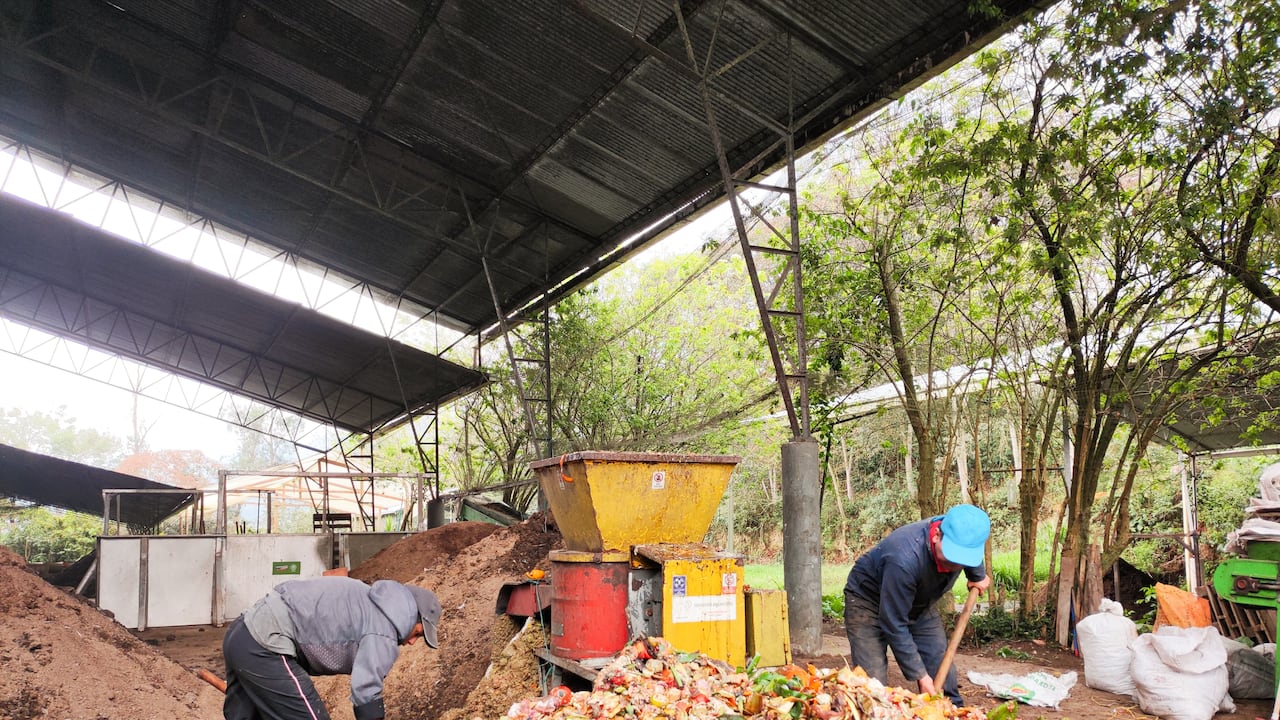 Asprocaf convierte toneladas de desechos orgánicos en abono.
