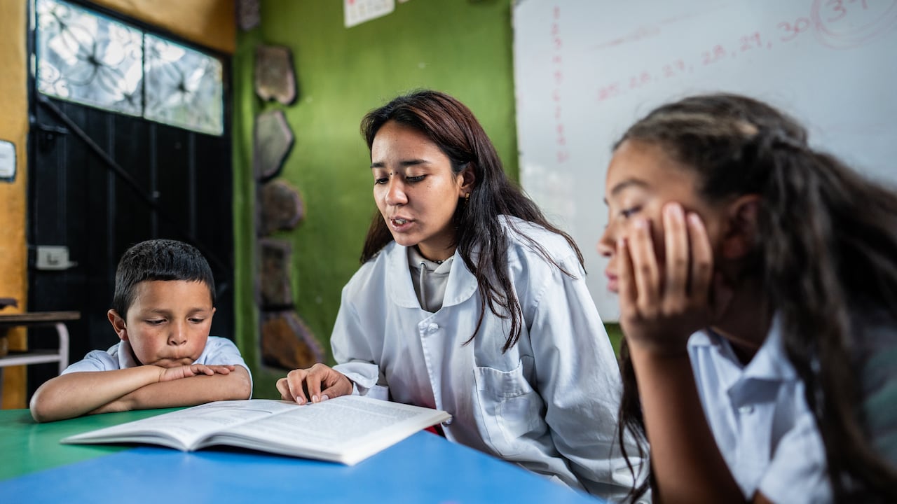 El 48 % de los estudiantes no comprende textos simples al finalizar la primaria.