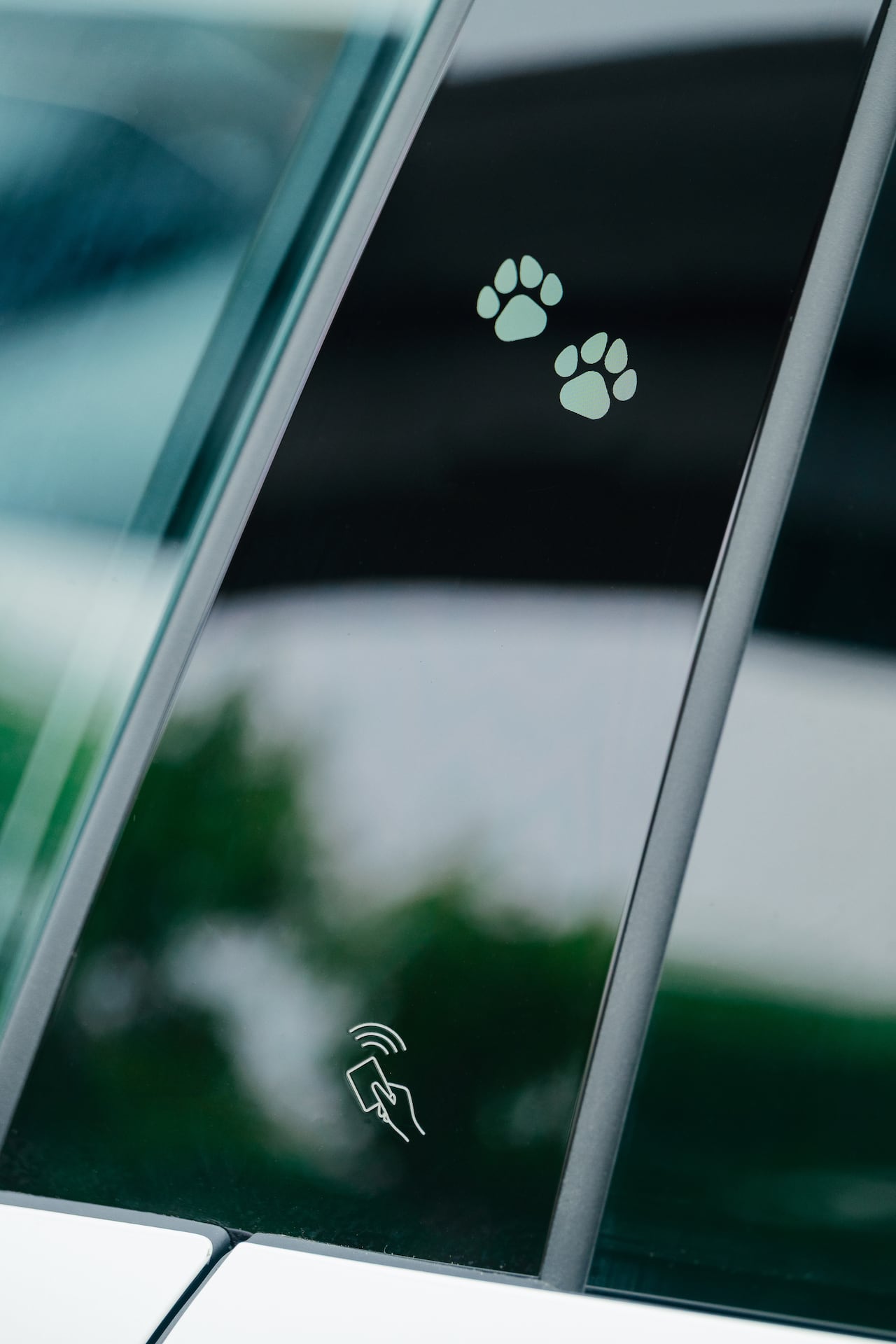 El modo mascota es una novedad y garantiza una temperatura adecuada para los animales dentro del habitáculo.