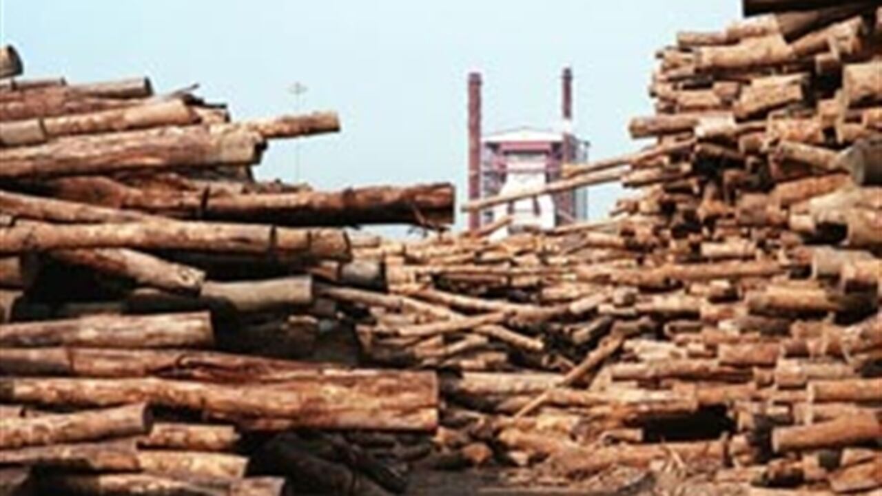 Masisa es una empresa forestal integrada, líder en producción y comercialización de tableros en Latinoamérica y con una relevante presencia en el mercado de molduras y puertas de madera en Estados Unidos.