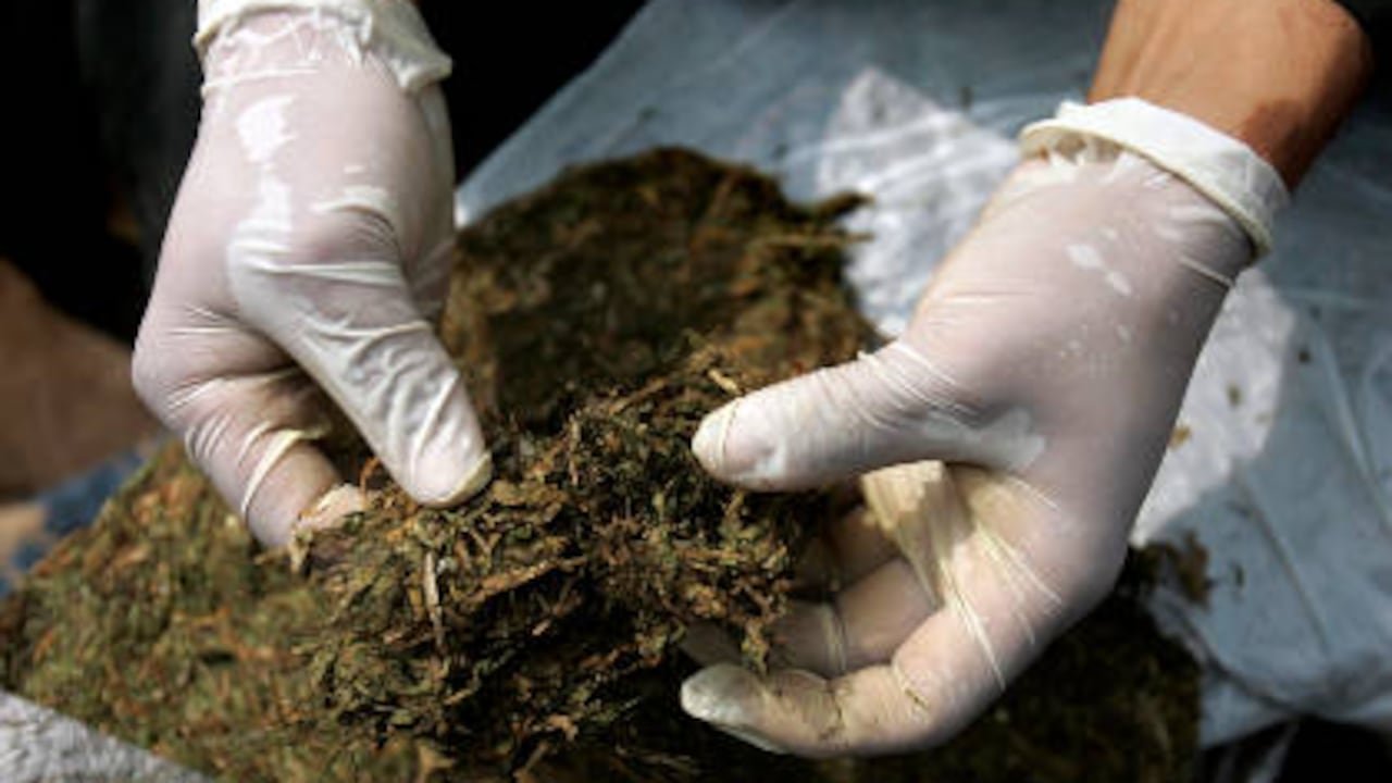 La Policía Antinarcóticos halló camuflado el alucinógeno en 472 paquetes que parecían ser chocolates, pero que realmente contenían marihuana.