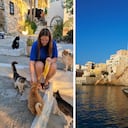Buscan voluntarios para vivir en playas paradisíacas y solo deben cuidar gatos.