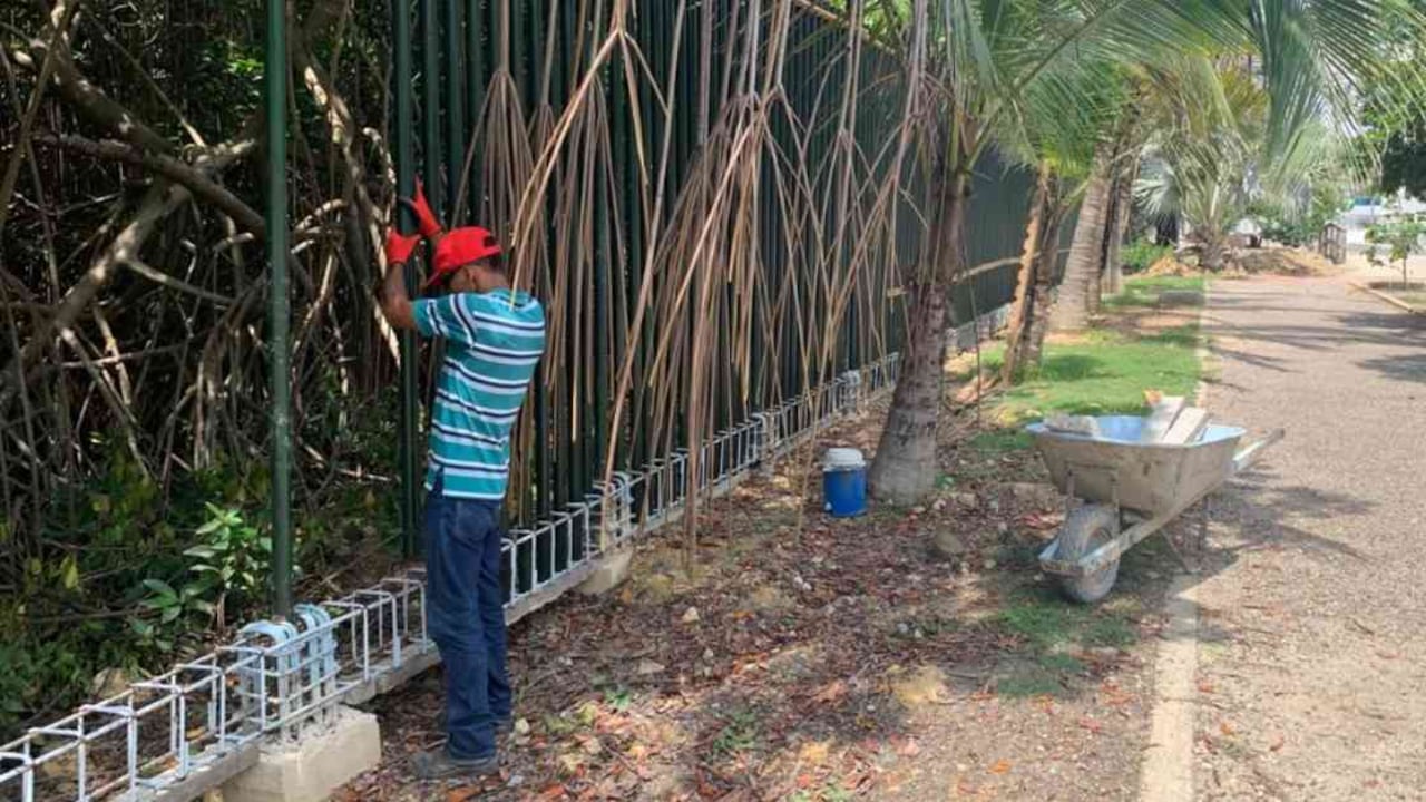 La entidad pretende blindar los manglares de las basuras y la tala. Foto: Cardique.