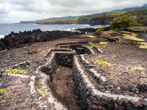 Las instalaciones defensivas rusas se extienden a lo largo de un frente de entre 800 y 900 kilómetros, desde la ciudad meridional de Jersón hasta el nordeste de Ucrania. (Foto referencia)